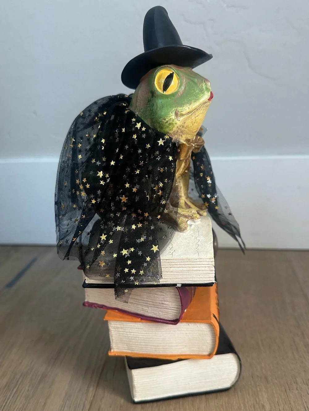 Lab No. 10.31 Mystical Frog Witch on Stack of 